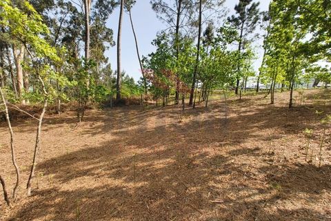 Helårsgrund i Arcos de Valdevez, Viana do Castelo, Arcos de Valdevez - € 65.000 | Ref: AVV-2548-VF-0426 - foto 11