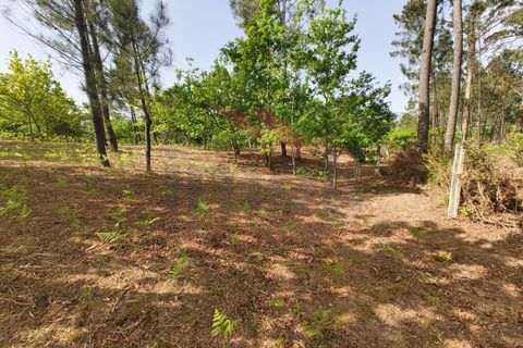Helårsgrund i Arcos de Valdevez, Viana do Castelo, Arcos de Valdevez - € 65.000 | Ref: AVV-2548-VF-0426 - foto 12