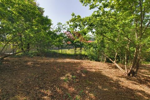 Helårsgrund i Arcos de Valdevez, Viana do Castelo, Arcos de Valdevez - € 65.000 | Ref: AVV-2548-VF-0426 - foto 15