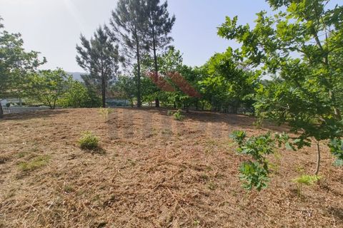 Helårsgrund i Arcos de Valdevez, Viana do Castelo, Arcos de Valdevez - € 65.000 | Ref: AVV-2548-VF-0426 - foto 16