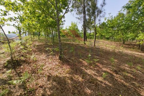 Helårsgrund i Arcos de Valdevez, Viana do Castelo, Arcos de Valdevez - € 65.000 | Ref: AVV-2548-VF-0426 - foto 17