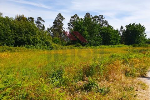 Helårsgrund i Arcos de Valdevez, Viana do Castelo, Arcos de Valdevez - € 55.000 | Ref: AVV-2305-VF-0524 - foto 2