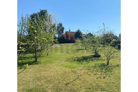 Villa i Arcos de Valdevez, Viana do Castelo, Arcos de Valdevez - € 330.000 | Ref: AVV-2541-EV-0326 - foto 5