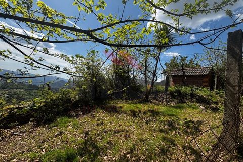 Villa i Arcos de Valdevez, Viana do Castelo, Arcos de Valdevez - € 72.500 | Ref: AVV-2410-MC-0425 - foto 11