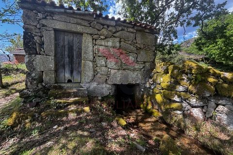 Villa i Arcos de Valdevez, Viana do Castelo, Arcos de Valdevez - € 72.500 | Ref: AVV-2410-MC-0425 - foto 13