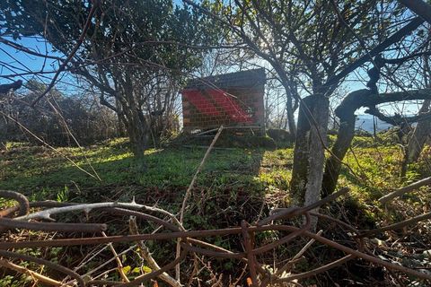 Villa i Arcos de Valdevez, Viana do Castelo, Arcos de Valdevez - € 72.500 | Ref: AVV-2410-MC-0425 - foto 20