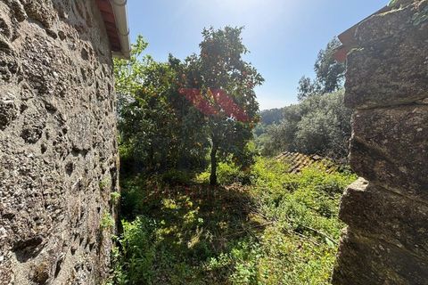 Villa i Arcos de Valdevez, Viana do Castelo, Arcos de Valdevez - € 55.000 | Ref: AVV-2290-AG-0324 - foto 7