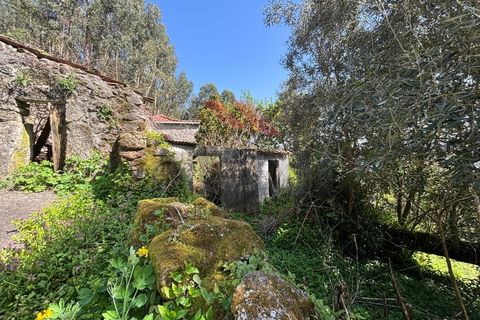 Villa i Arcos de Valdevez, Viana do Castelo, Arcos de Valdevez - € 55.000 | Ref: AVV-2290-AG-0324 - foto 8