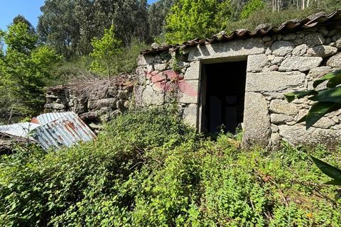 Villa i Arcos de Valdevez, Viana do Castelo, Arcos de Valdevez - € 55.000 | Ref: AVV-2290-AG-0324 - foto 10