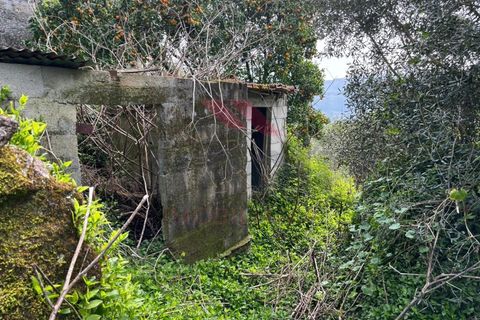 Villa i Arcos de Valdevez, Viana do Castelo, Arcos de Valdevez - € 55.000 | Ref: AVV-2290-AG-0324 - foto 12