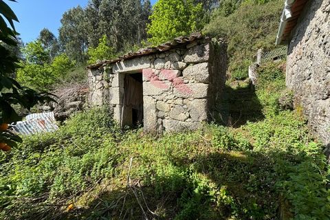 Villa i Arcos de Valdevez, Viana do Castelo, Arcos de Valdevez - € 55.000 | Ref: AVV-2290-AG-0324 - foto 13