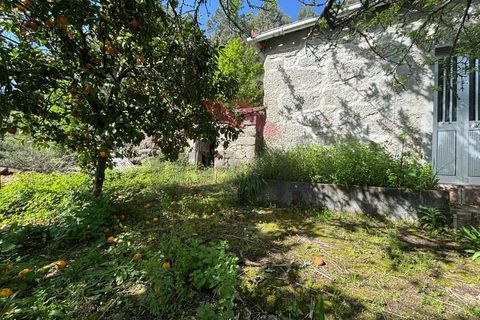 Villa i Arcos de Valdevez, Viana do Castelo, Arcos de Valdevez - € 55.000 | Ref: AVV-2290-AG-0324 - foto 14