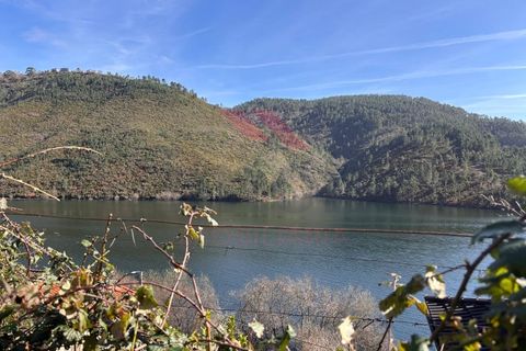 Helårsgrund i Arcos de Valdevez, Viana do Castelo, Arcos de Valdevez - € 15.000 | Ref: AVV-2530-AM-0226 - foto 2