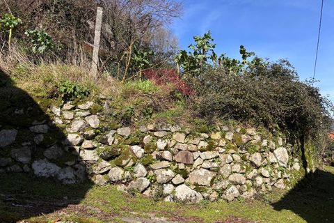 Helårsgrund i Arcos de Valdevez, Viana do Castelo, Arcos de Valdevez - € 15.000 | Ref: AVV-2530-AM-0226 - foto 3