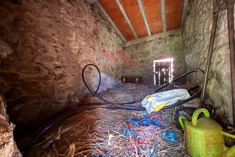 Helårsgrund i Arcos de Valdevez, Viana do Castelo, Arcos de Valdevez - € 15.000 | Ref: AVV-2530-AM-0226 - foto 5