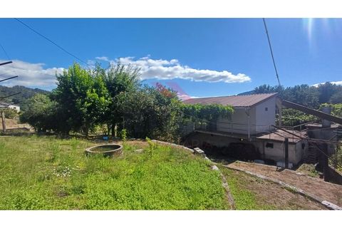 Helårsgrund i Arcos de Valdevez, Viana do Castelo, Arcos de Valdevez - € 135.000 | Ref: AVV-2442-HE-0725 - foto 13
