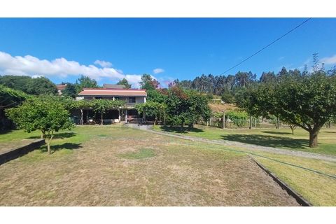 Helårsgrund i Arcos de Valdevez, Viana do Castelo, Arcos de Valdevez - € 135.000 | Ref: AVV-2442-HE-0725 - foto 17