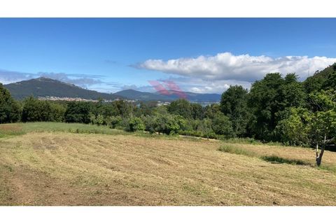 Helårsgrund i Caminha, Viana do Castelo, Caminha - € 240.000 | Ref: AVV-2526-PQ-0226 - foto 2