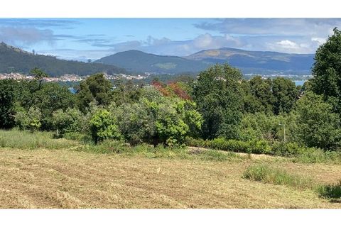Helårsgrund i Caminha, Viana do Castelo, Caminha - € 240.000 | Ref: AVV-2526-PQ-0226 - foto 3