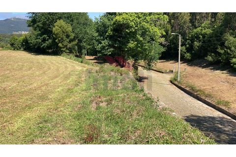Helårsgrund i Caminha, Viana do Castelo, Caminha - € 240.000 | Ref: AVV-2526-PQ-0226 - foto 4