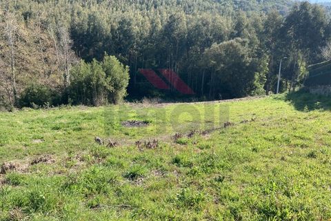 Helårsgrund i Caminha, Viana do Castelo, Caminha - € 240.000 | Ref: AVV-2526-PQ-0226 - foto 5