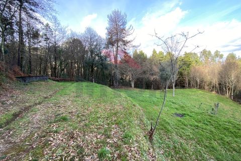 Landejendom i Arcos de Valdevez, Viana do Castelo, Arcos de Valdevez - € 290.000 | Ref: AVV-1942-RB-1121 - foto 11