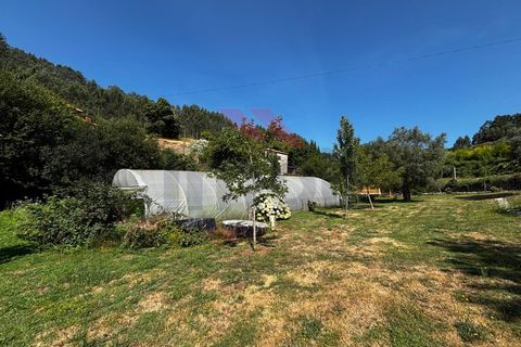 Villa i Arcos de Valdevez, Viana do Castelo, Arcos de Valdevez - € 750.000 | Ref: AVV-2452-CD-0725 - foto 31