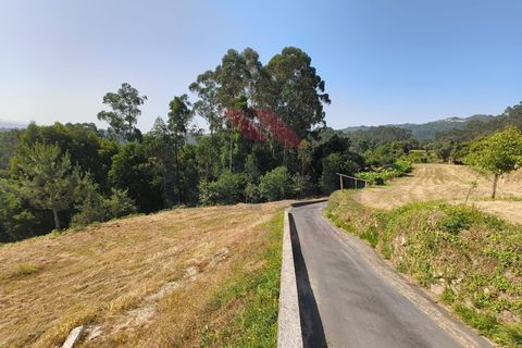 Helårsgrund i Arcos de Valdevez, Viana do Castelo, Arcos de Valdevez - € 22.000 | Ref: AVV-2430-LO-0625 - foto 2