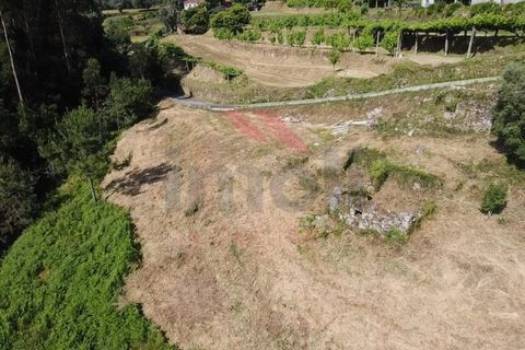 Helårsgrund i Arcos de Valdevez, Viana do Castelo, Arcos de Valdevez - € 22.000 | Ref: AVV-2430-LO-0625 - foto 9