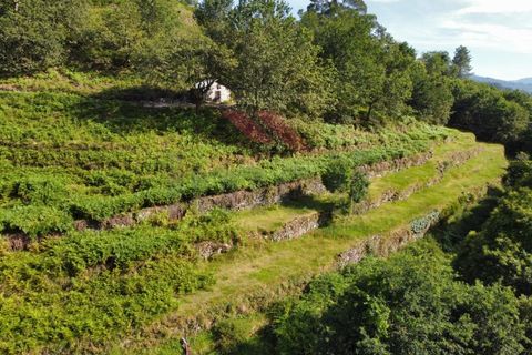 Helårsgrund i Arcos de Valdevez, Viana do Castelo, Arcos de Valdevez - € 40.000 | Ref: AVV-2160-RA-0323 - foto 3