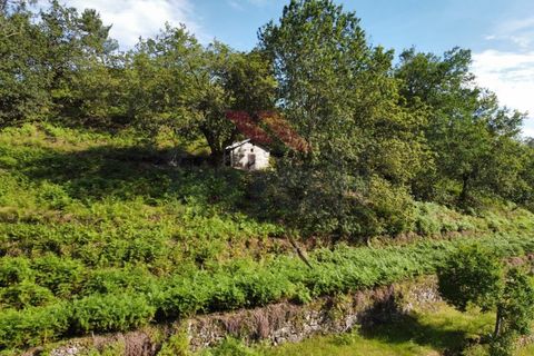Helårsgrund i Arcos de Valdevez, Viana do Castelo, Arcos de Valdevez - € 40.000 | Ref: AVV-2160-RA-0323 - foto 4