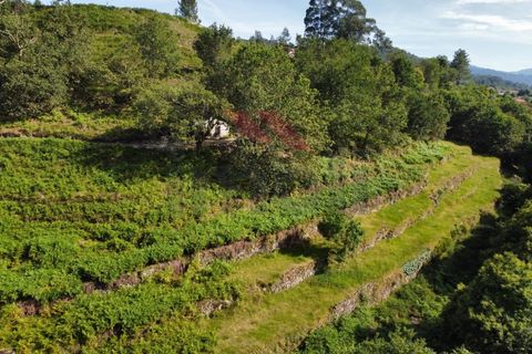 Helårsgrund i Arcos de Valdevez, Viana do Castelo, Arcos de Valdevez - € 40.000 | Ref: AVV-2160-RA-0323 - foto 5