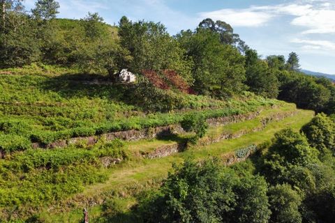 Helårsgrund i Arcos de Valdevez, Viana do Castelo, Arcos de Valdevez - € 40.000 | Ref: AVV-2160-RA-0323 - foto 6