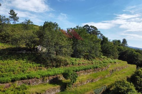 Helårsgrund i Arcos de Valdevez, Viana do Castelo, Arcos de Valdevez - € 40.000 | Ref: AVV-2160-RA-0323 - foto 7