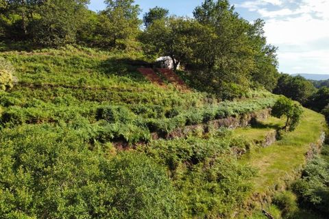 Helårsgrund i Arcos de Valdevez, Viana do Castelo, Arcos de Valdevez - € 40.000 | Ref: AVV-2160-RA-0323 - foto 8