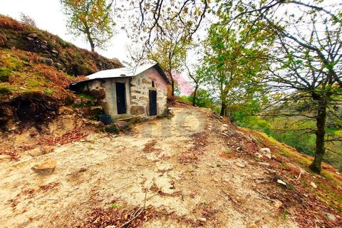 Helårsgrund i Arcos de Valdevez, Viana do Castelo, Arcos de Valdevez - € 40.000 | Ref: AVV-2160-RA-0323 - foto 10