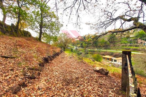 Helårsgrund i Arcos de Valdevez, Viana do Castelo, Arcos de Valdevez - € 40.000 | Ref: AVV-2160-RA-0323 - foto 11