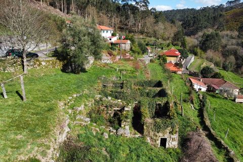 Ruïne in Portela e Extremo, Viana do Castelo, Portela e Extremo - € 70.000 | Ref: AVV-1798-JD-0421 - foto 6