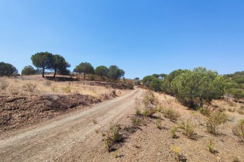 Helårsgrund i Castro Marim, Faro, Castro Marim - € 3.500.000 | Ref: SÒL_1276 - foto 14
