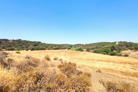Helårsgrund i Castro Marim, Faro, Castro Marim - € 3.500.000 | Ref: SÒL_1276 - foto 22