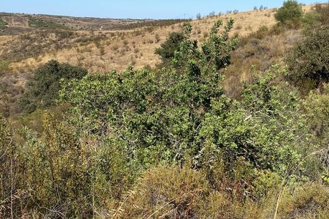 Helårsgrund i Castro Marim, Faro, Castro Marim - € 80.000 | Ref: 567OR - foto 12