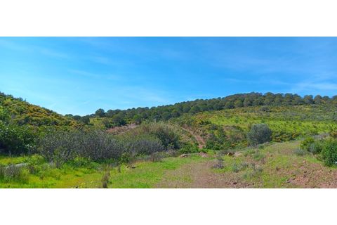Helårsgrund i Castro Marim, Faro, Castro Marim - € 450.000 | Ref: 280HM - foto 10