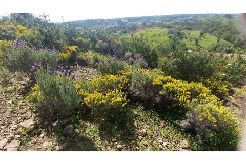 Helårsgrund i Castro Marim, Faro, Castro Marim - € 450.000 | Ref: 280HM - foto 32