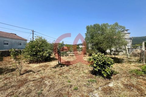 Helårsgrund i Viana do Castelo, Viana do Castelo, Viana do Castelo - € 255.000 | Ref: TER_1404 - foto 3
