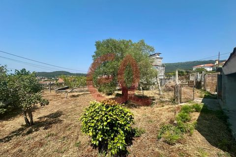 Helårsgrund i Viana do Castelo, Viana do Castelo, Viana do Castelo - € 255.000 | Ref: TER_1404 - foto 5
