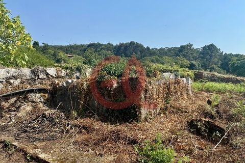 Helårsgrund i Viana do Castelo, Viana do Castelo, Viana do Castelo - € 255.000 | Ref: TER_1404 - foto 7