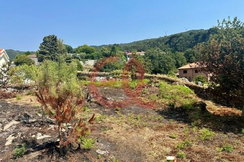 Helårsgrund i Viana do Castelo, Viana do Castelo, Viana do Castelo - € 255.000 | Ref: TER_1404 - foto 12