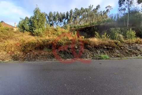 Terra em Outeiro, Viana do Castelo, Outeiro - € 78.000 | Ref: TER_1438 - foto 3