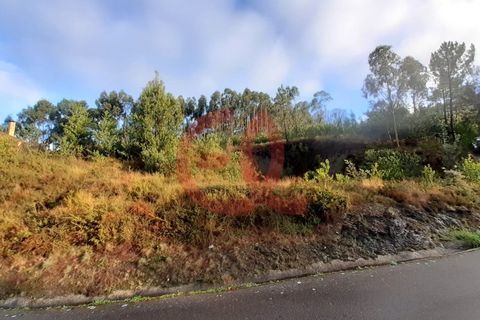 Terra em Outeiro, Viana do Castelo, Outeiro - € 78.000 | Ref: TER_1438 - foto 4