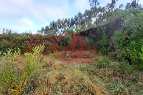 Terra em Outeiro, Viana do Castelo, Outeiro - € 78.000 | Ref: TER_1438 - foto 5